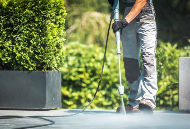Best Dumpster Area Cleaning  in Brookdale, CA